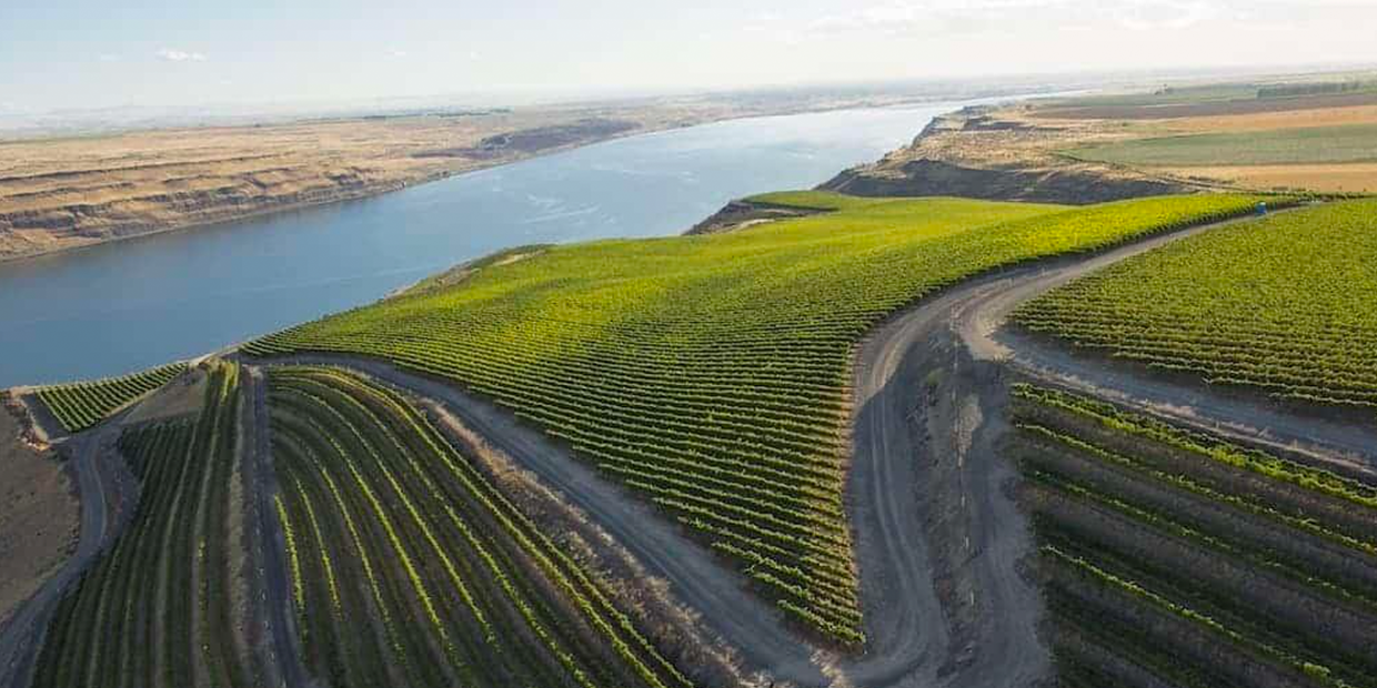 Blog-Images-WashingtonWines-ColumbiaValley Washington Wine Columbia Valley | The Wine Club Philippines